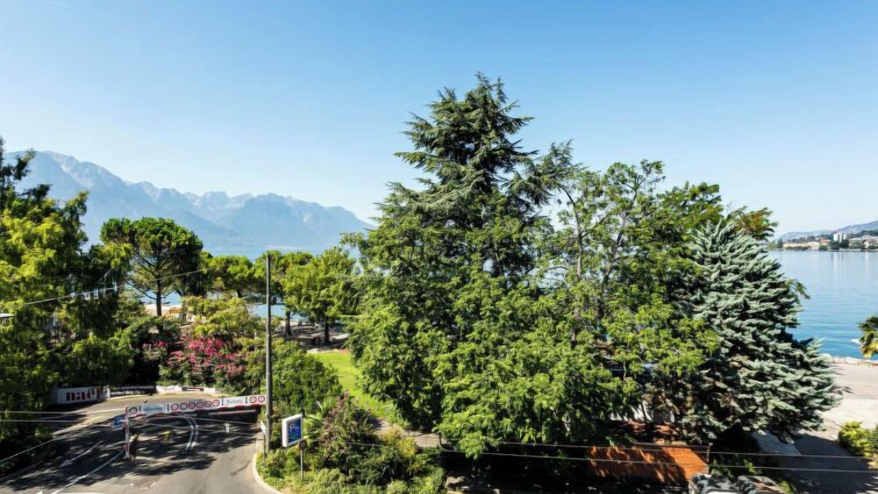 Photo of Others in Montreux City Centre
