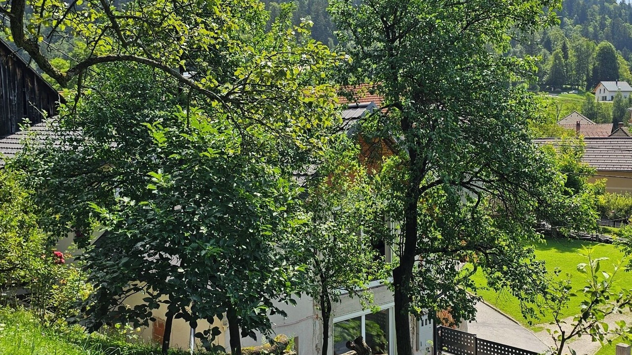 Photo of Outdoor in Jesenice