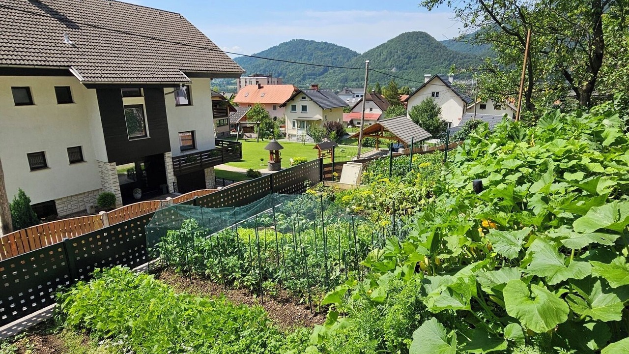 Photo of Outdoor in Jesenice