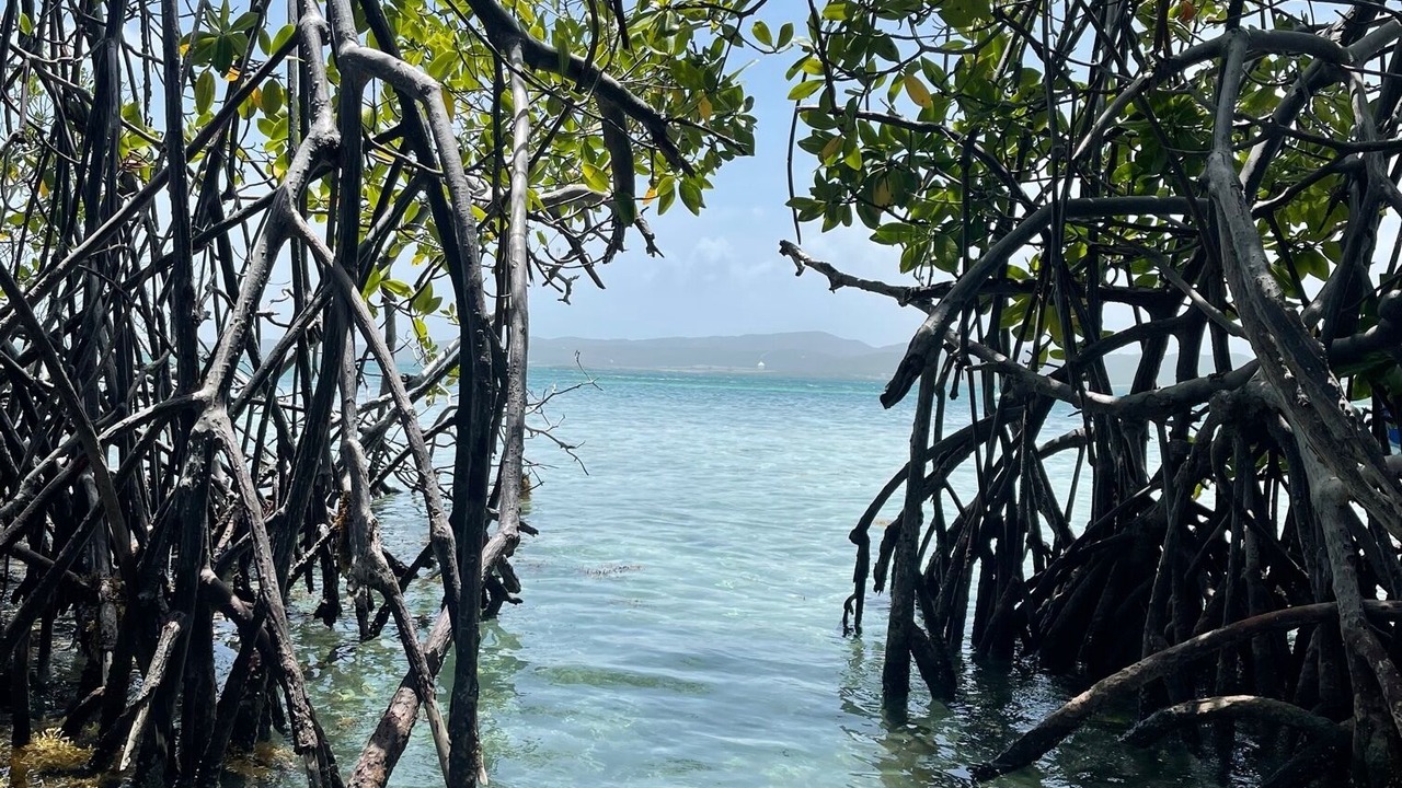 Photo of Others in Palmarejo