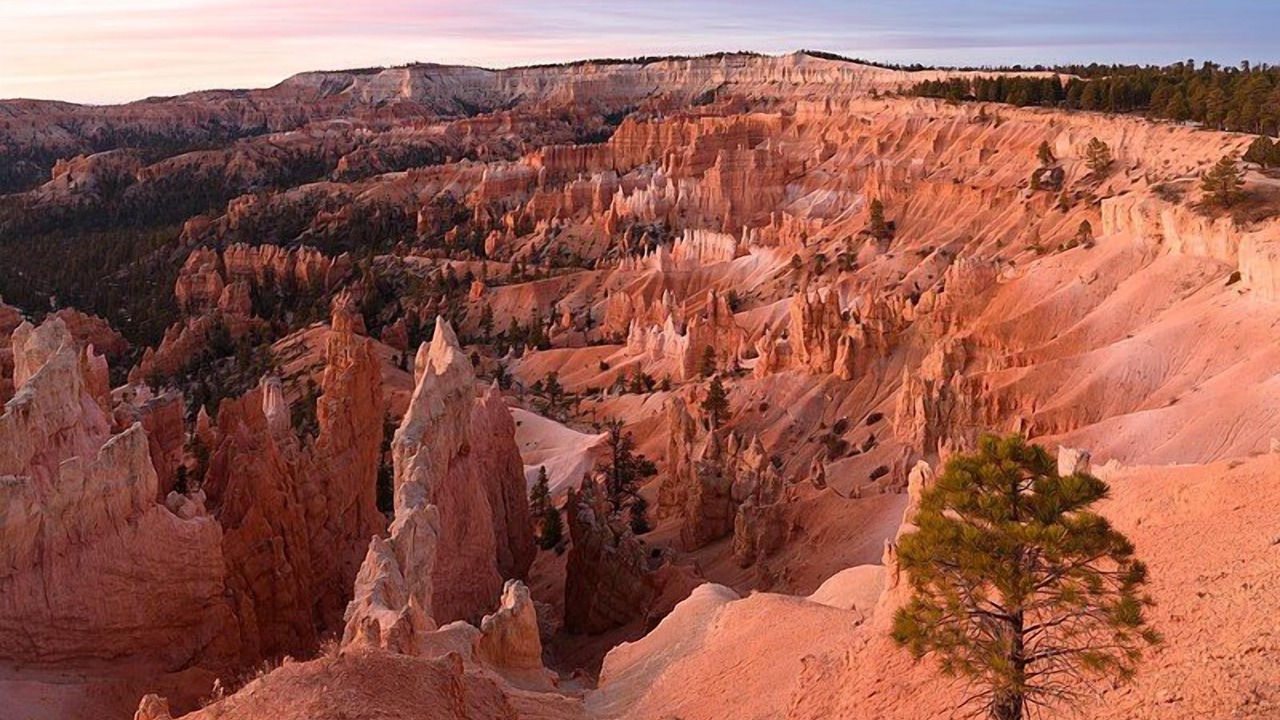 Photo of Others in Bryce Canyon