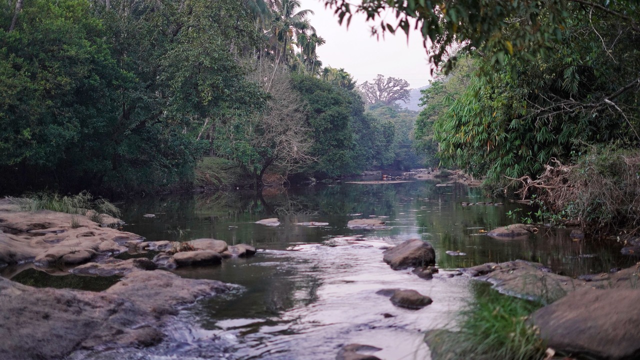 Photo of Others in Irinjalakuda