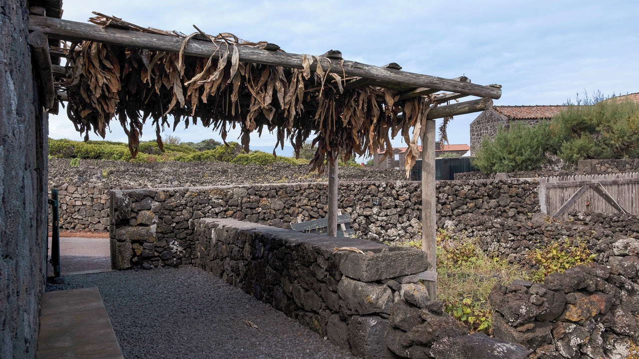 Photo of Outdoor in Bandeiras
