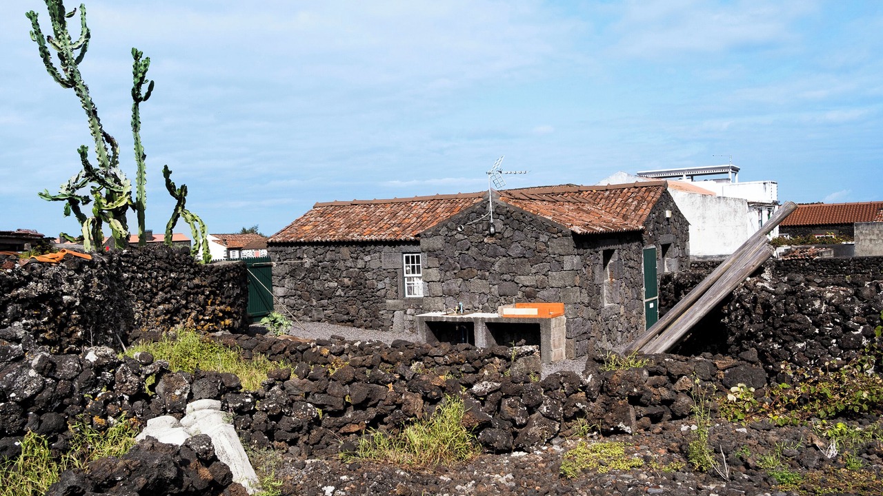 Photo of Others in Bandeiras