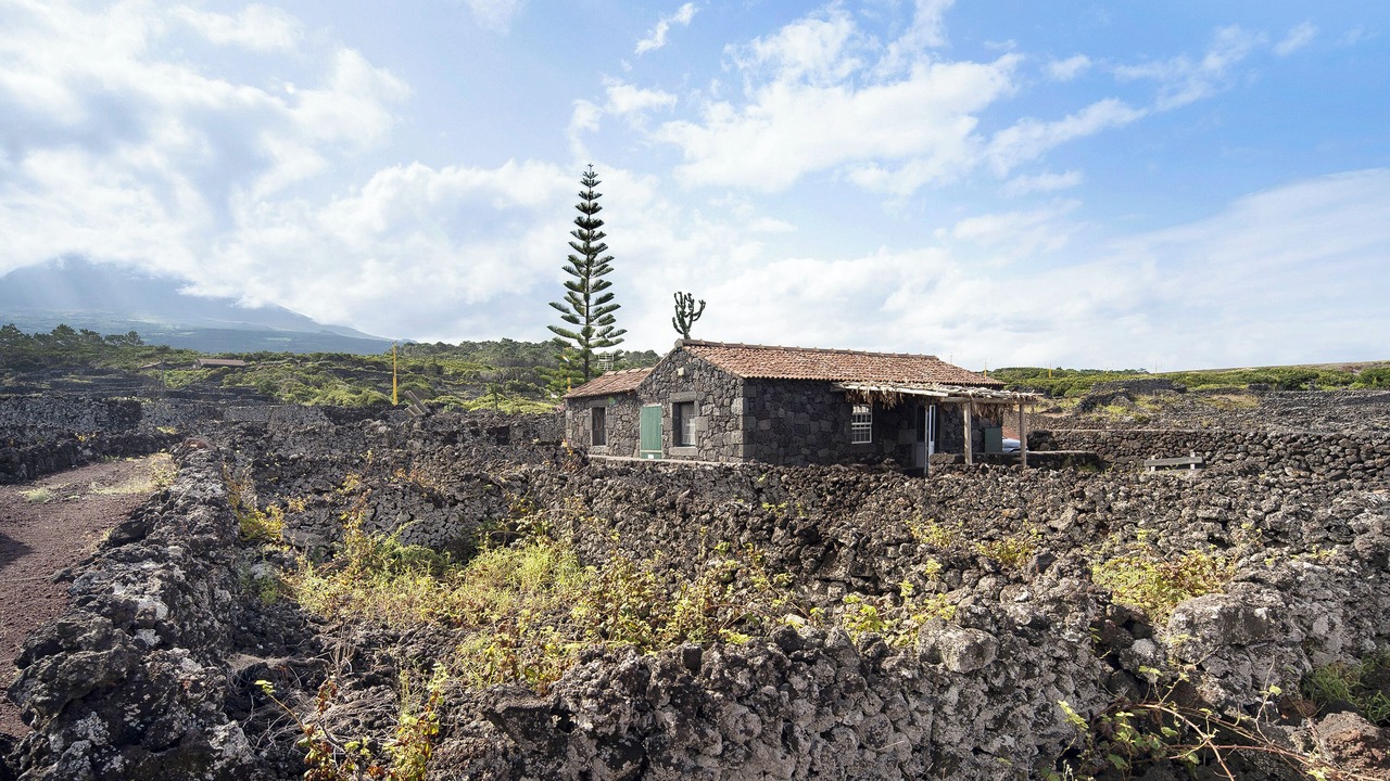Photo of Outdoor in Bandeiras