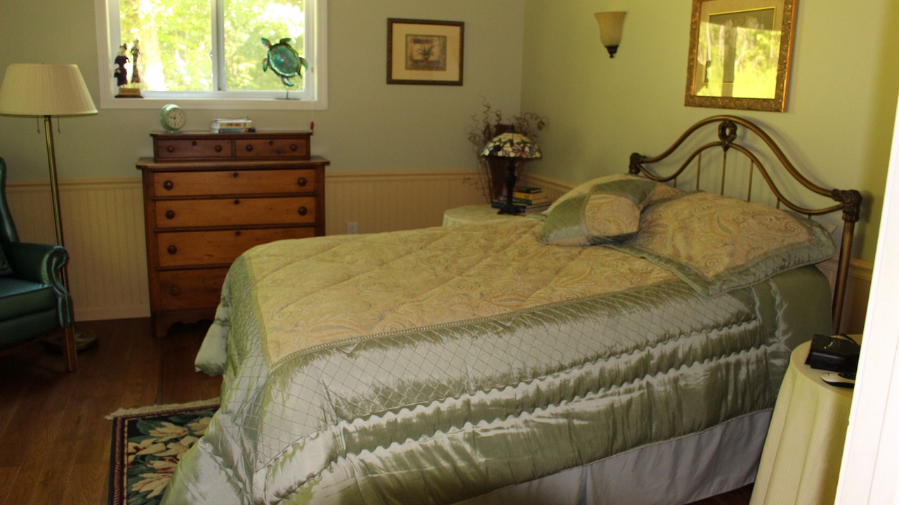 Photo of Bedroom in Dansville