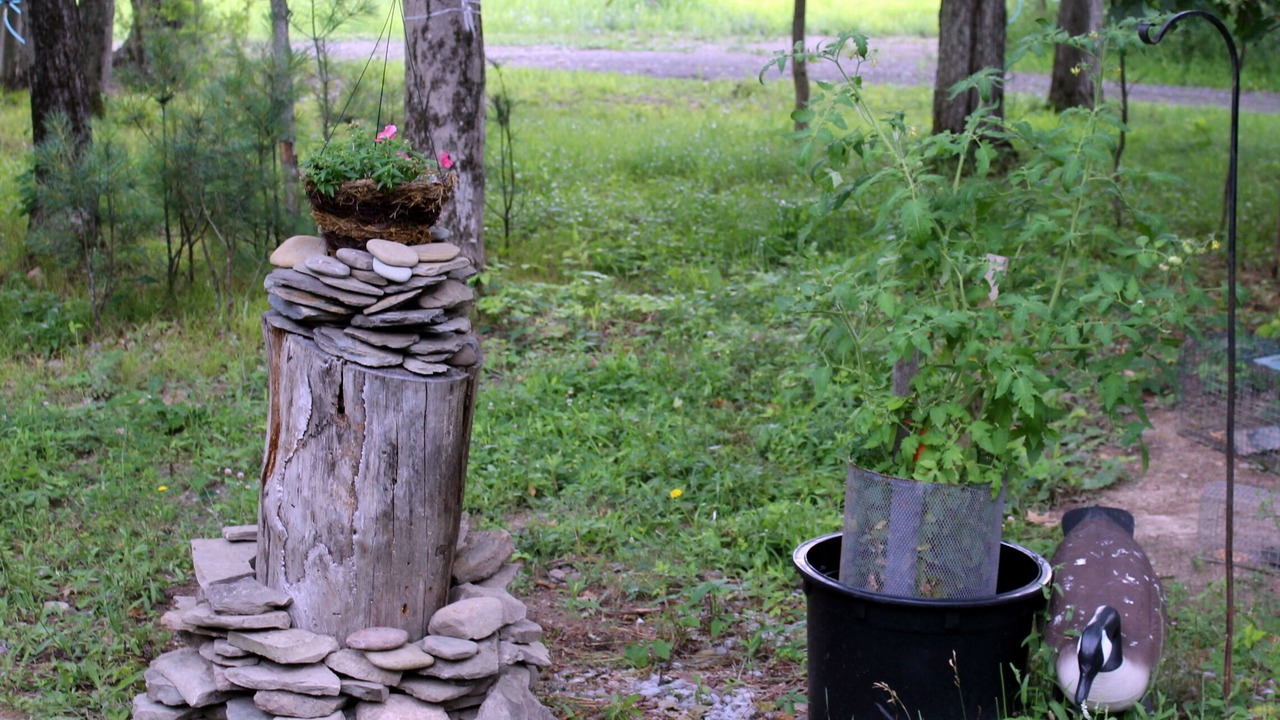 Photo of Outdoor in Dansville