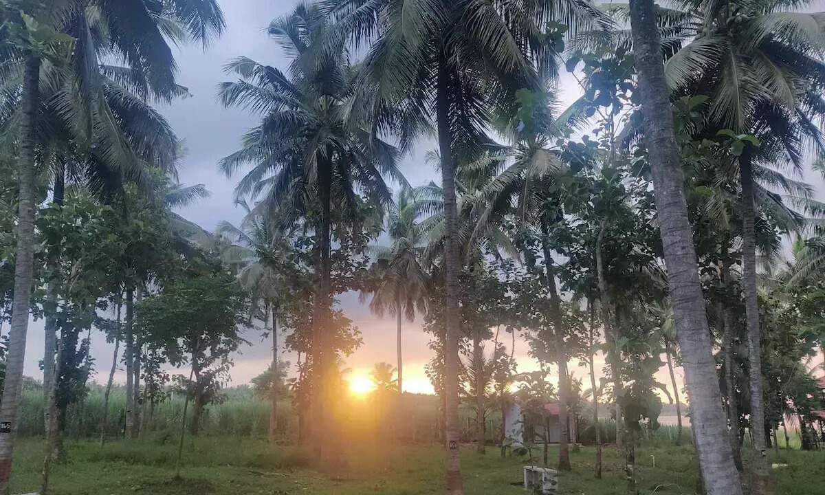 Photo of Outdoor in Heggadadevankote