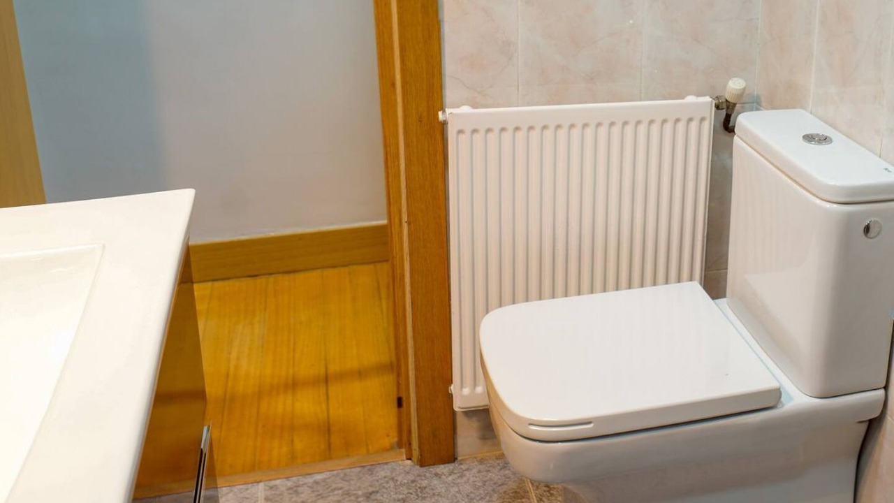 Photo of Bathroom in Sestao