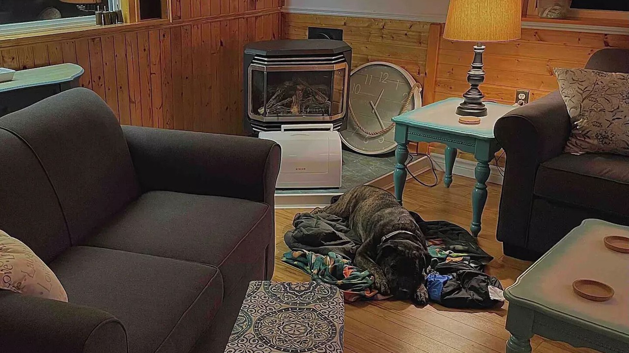 Photo of Livingroom in West Hants