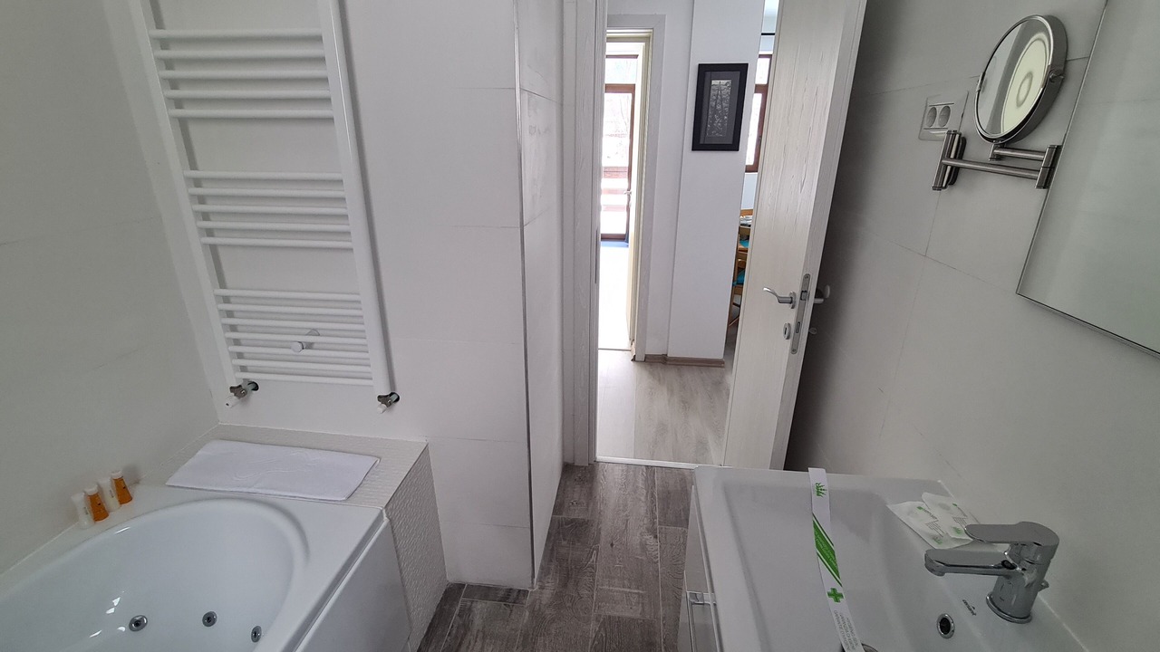 Photo of Bathroom in Busteni
