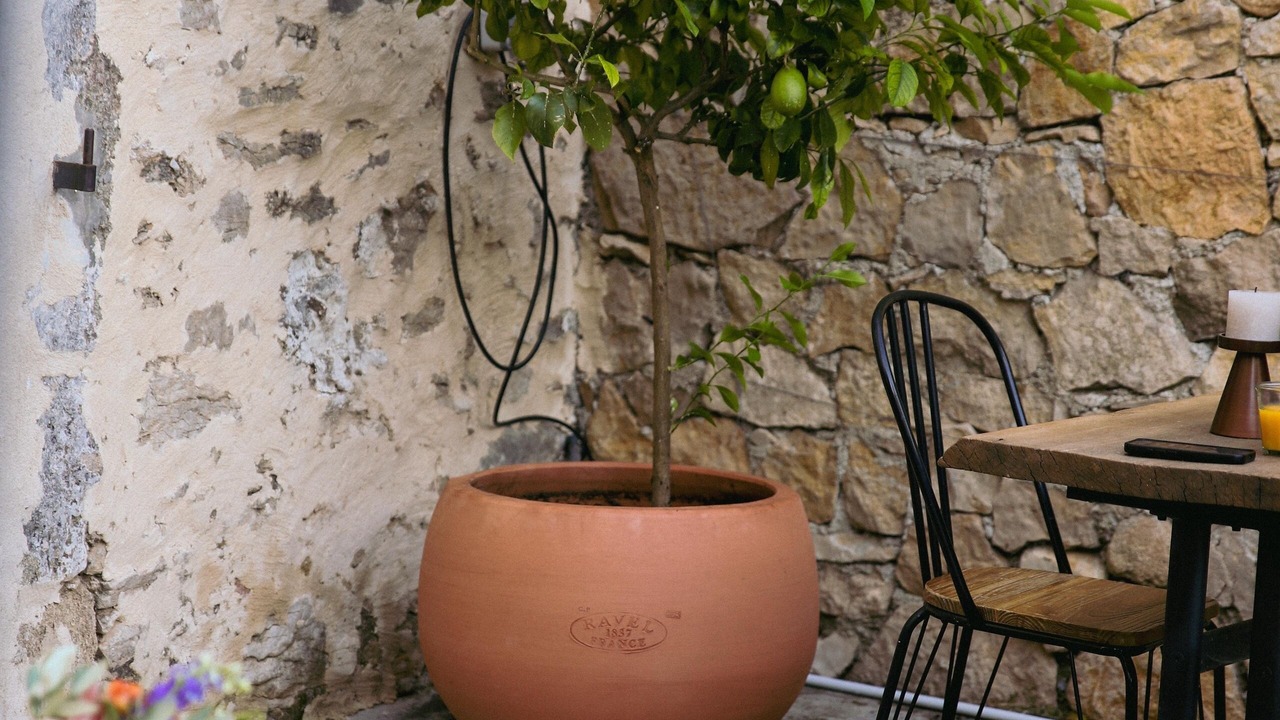 Photo of Outdoor in La Barben