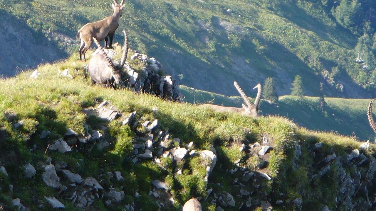 Photo of Outdoor in Praranger