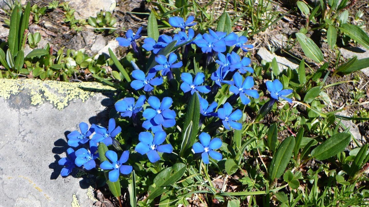 Photo of Outdoor in Praranger