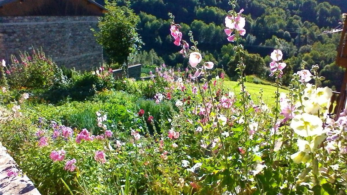 Photo of Outdoor in Praranger