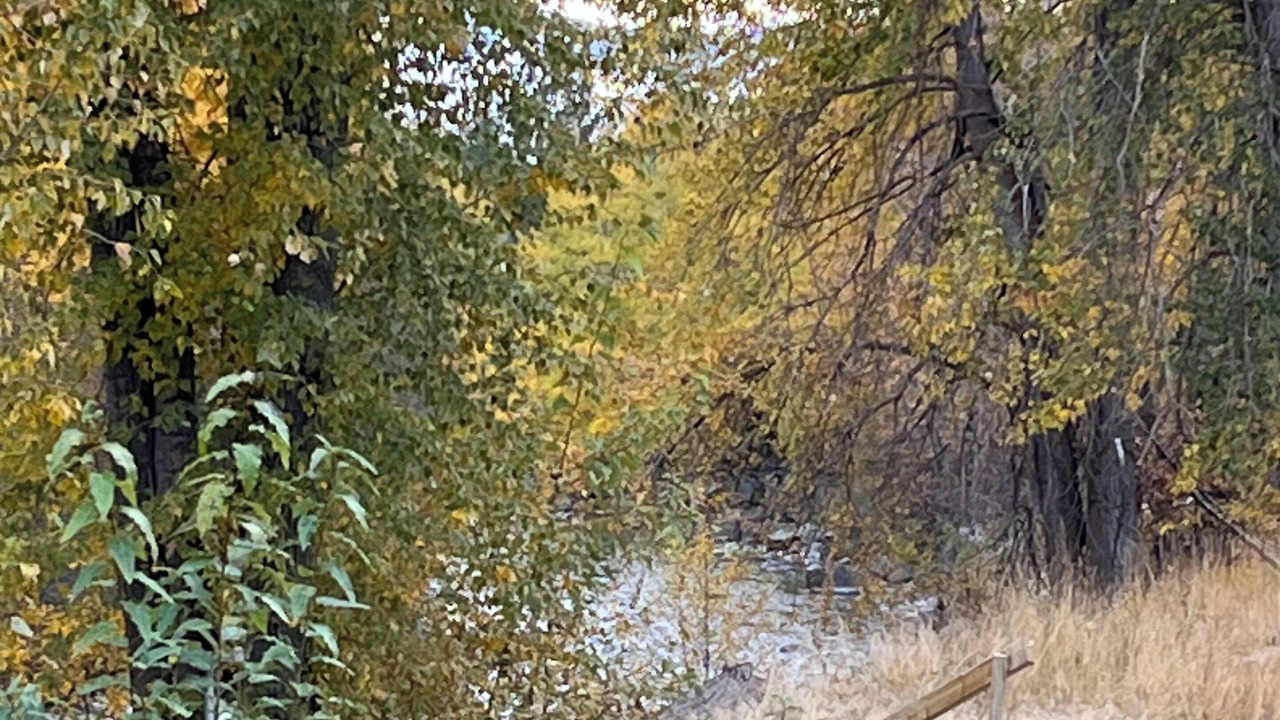 Photo of Outdoor in Twisp