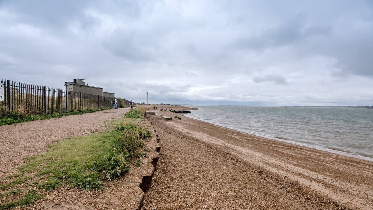Photo of Others in Felixstowe