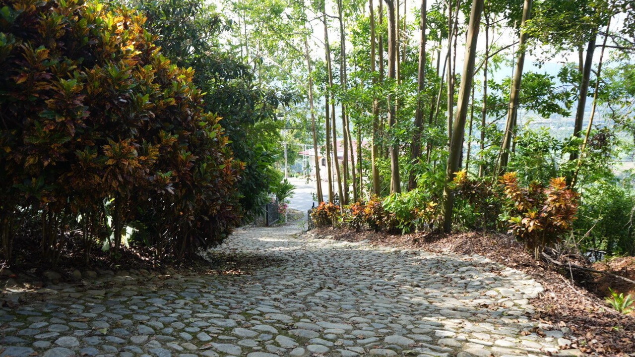 Photo of Outdoor in San Isidro de El General