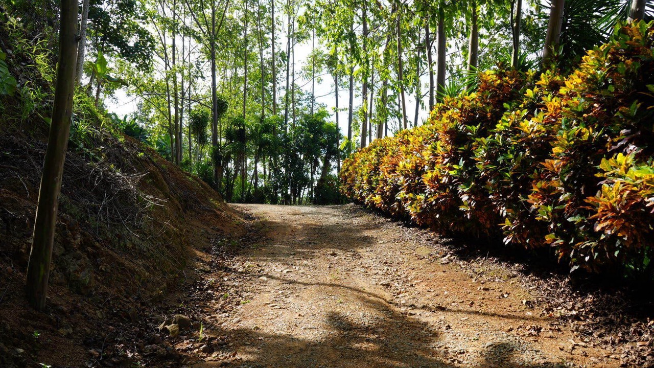 Photo of Outdoor in San Isidro de El General