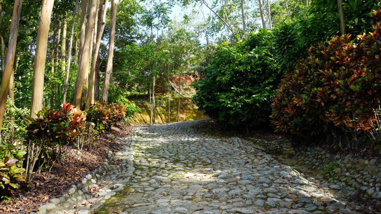 Photo of Outdoor in San Isidro de El General