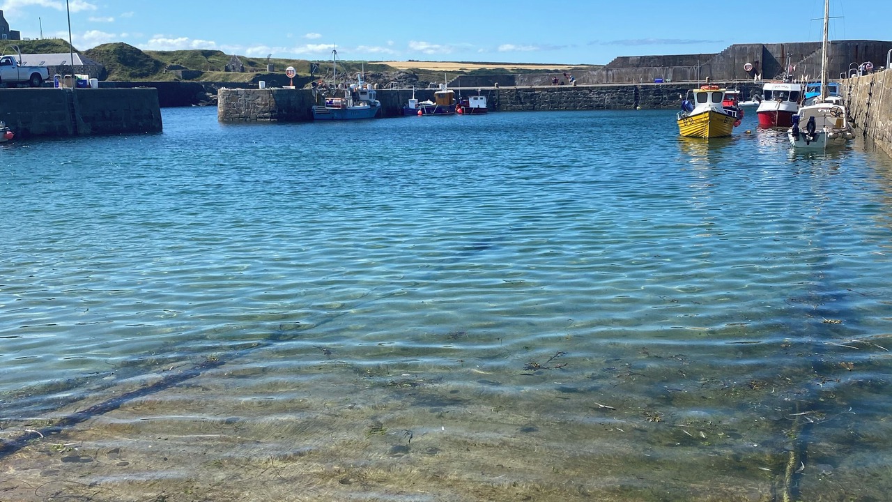 Photo of Others in Portsoy