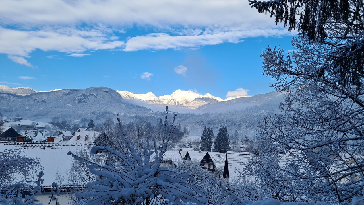 Photo of Others in Bohinjska Bistrica
