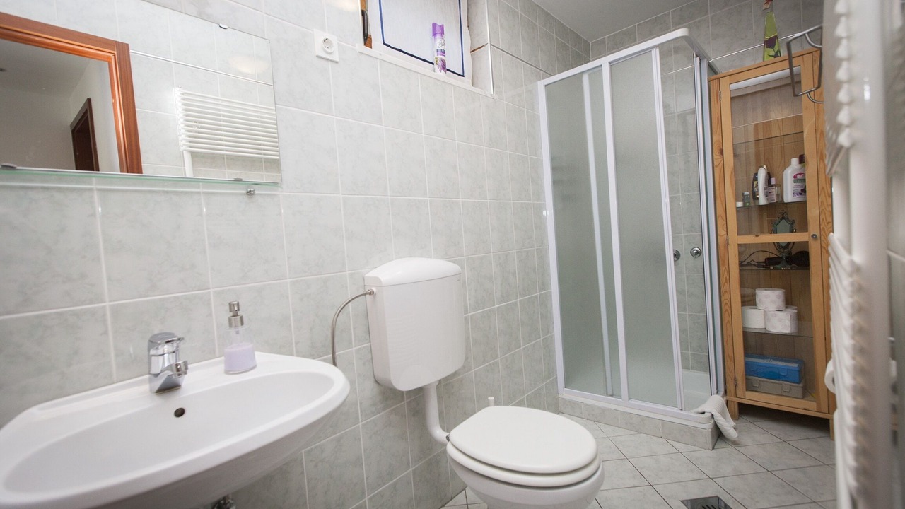 Photo of Bathroom in Bohinjska Bistrica
