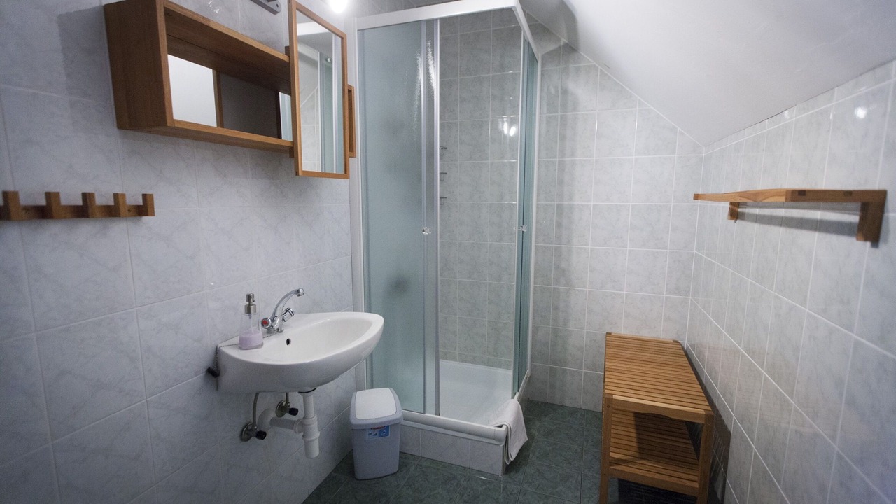 Photo of Bathroom in Bohinjska Bistrica