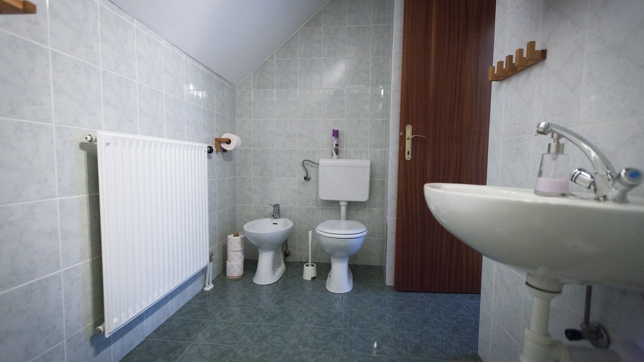 Photo of Bathroom in Bohinjska Bistrica
