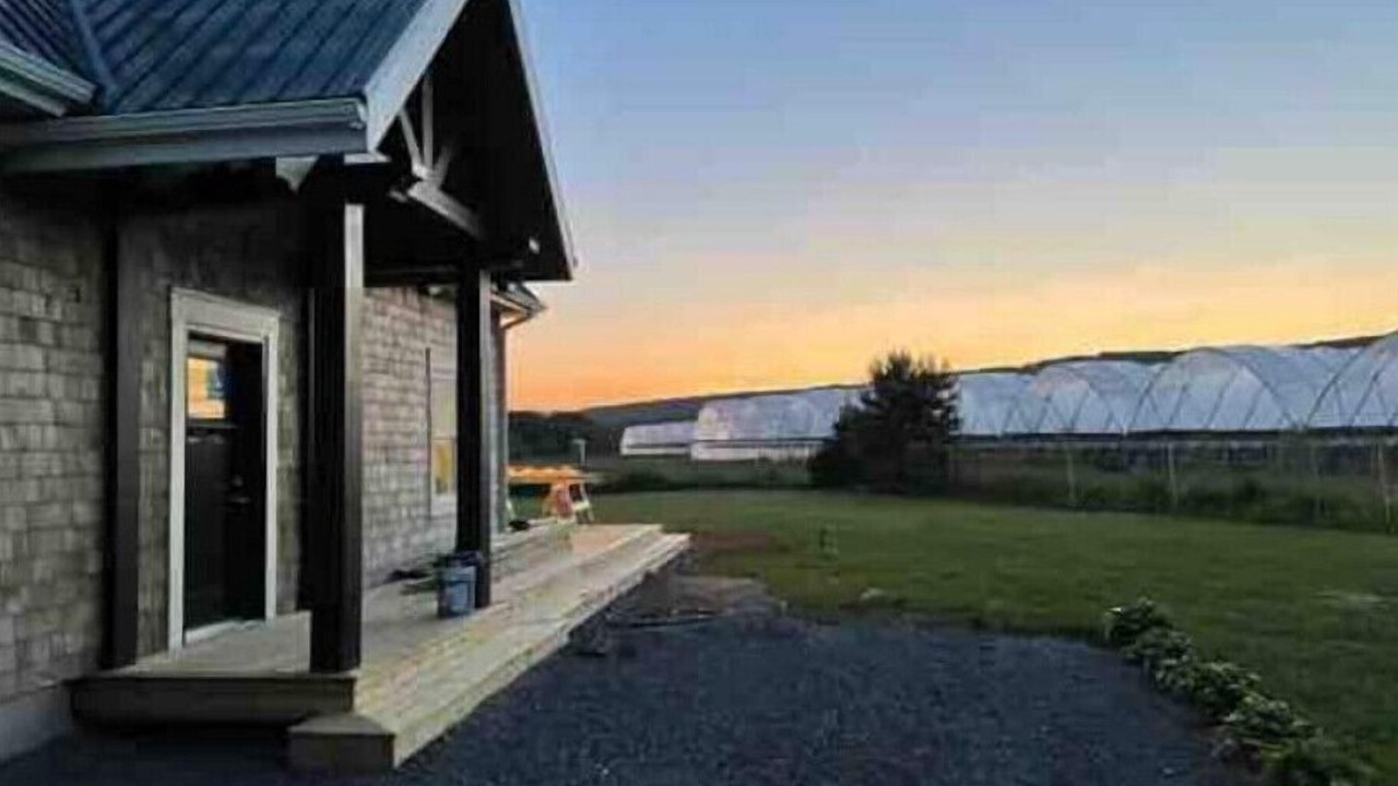 Photo of Outdoor in Kings County
