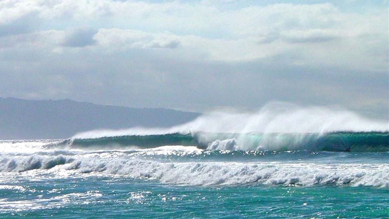 Photo of Others in Pupukea