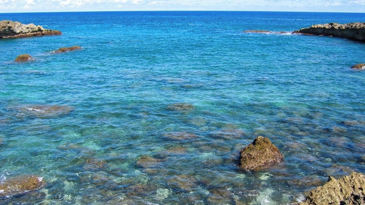 Photo of Others in Pupukea