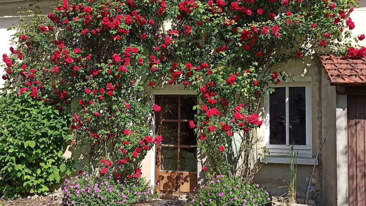 Photo of Outdoor in La Neuville-sur-Essonne