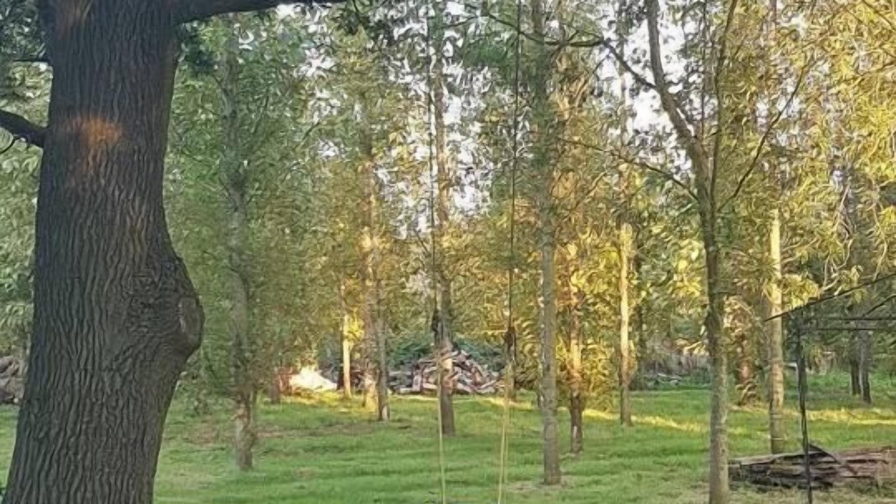 Photo of Others in Hatherton