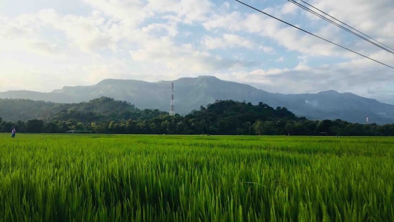 Photo of Outdoor in Ella