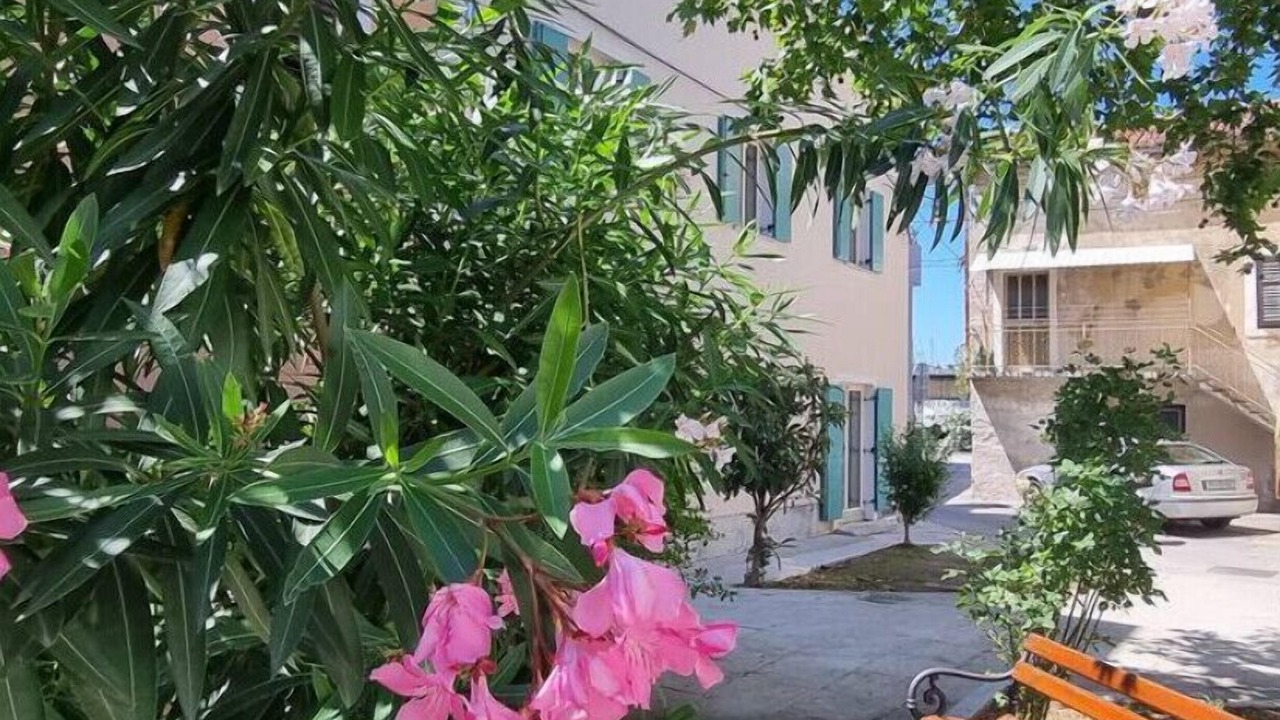 Photo of Outdoor in Izola