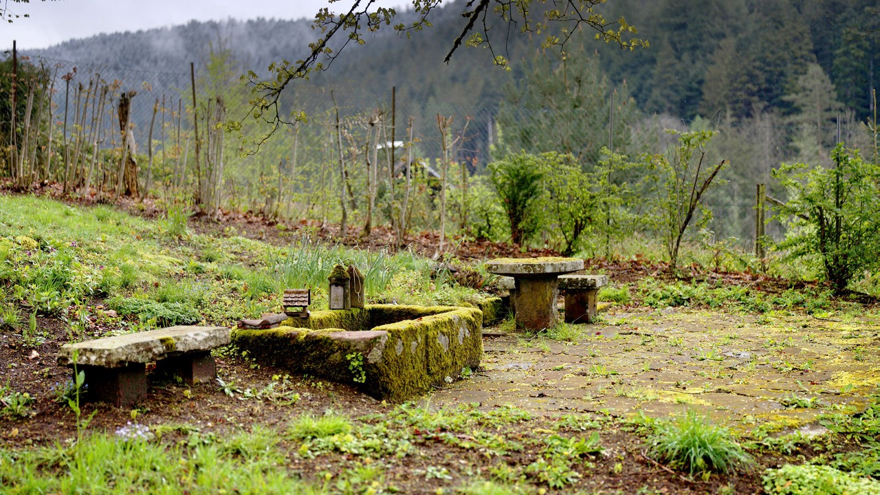 Photo of Outdoor in Alpirsbach