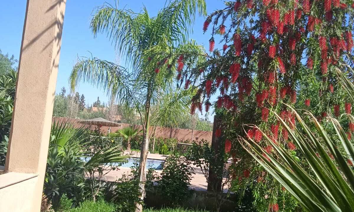 Photo of Outdoor in Al Ouidane