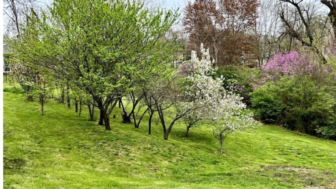 Photo of Outdoor in Hamilton