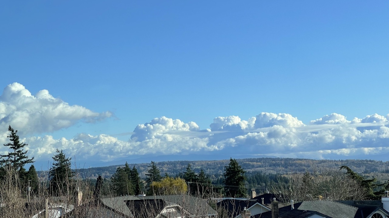 Photo of Outdoor in White Rock