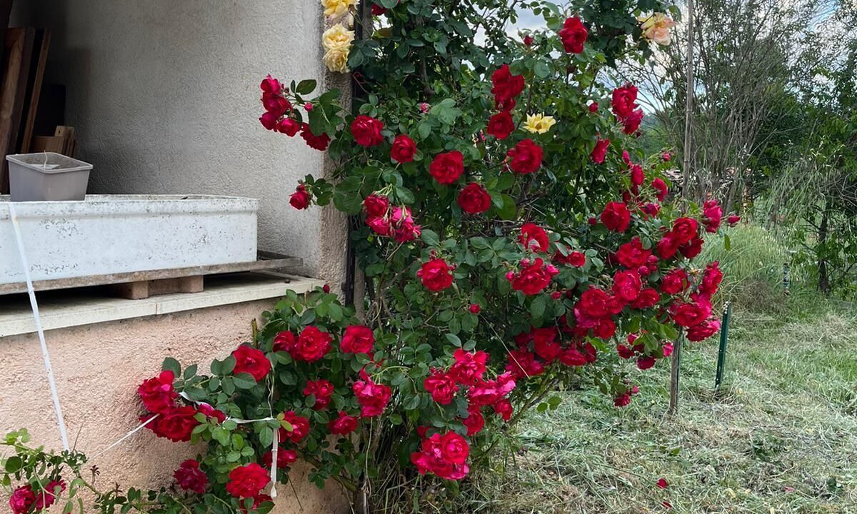 Photo of Outdoor in Le Thoronet