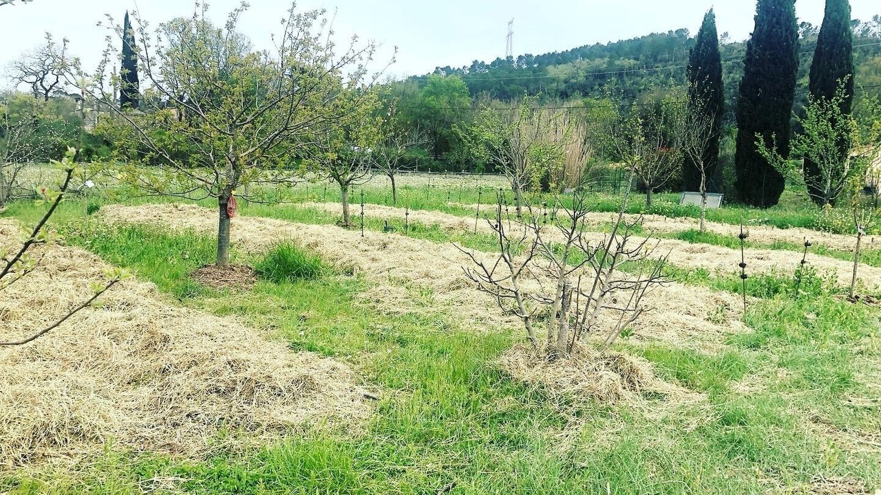 Photo of Outdoor in Le Thoronet