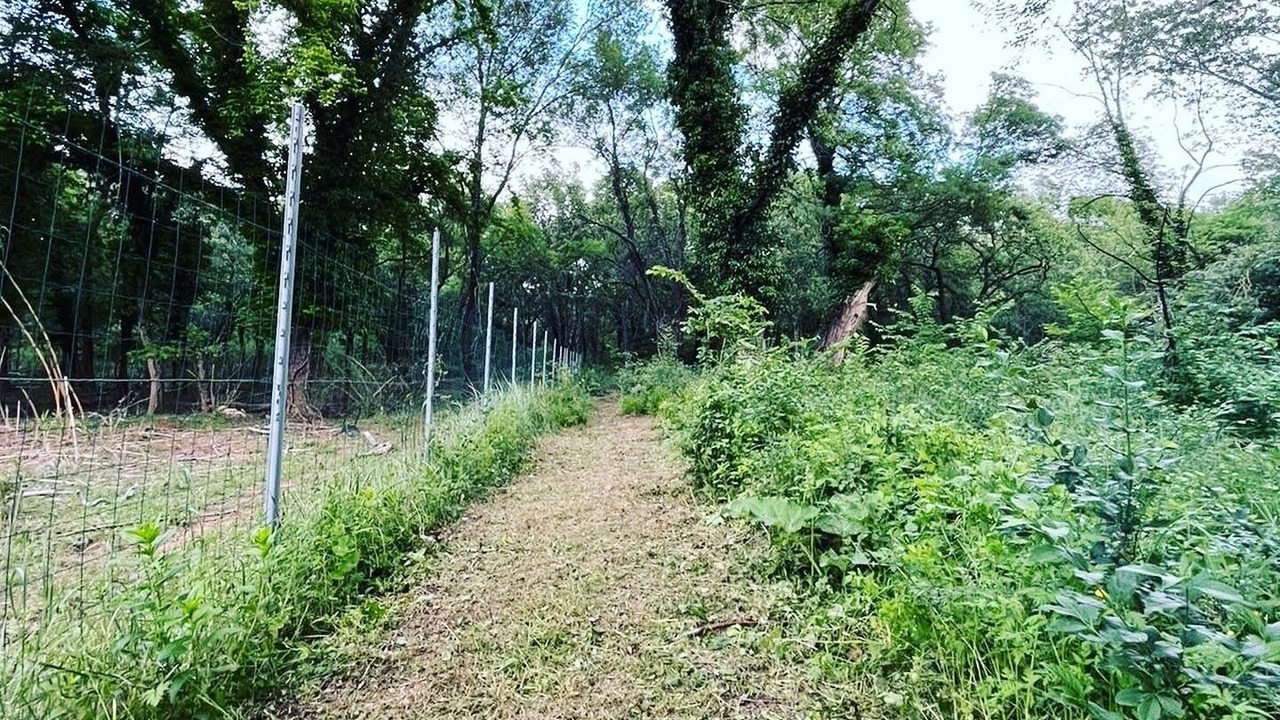 Photo of Outdoor in Le Thoronet
