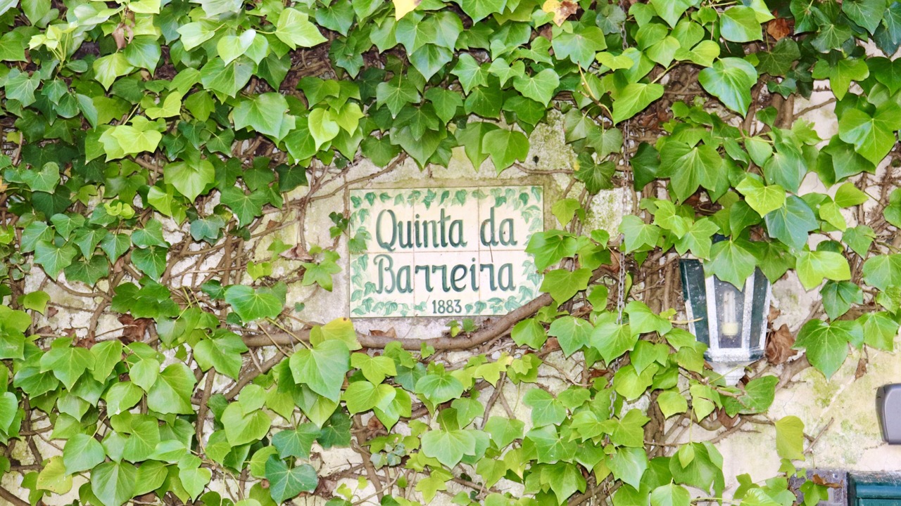 Photo of Outdoor in Carvalhal Benfeito
