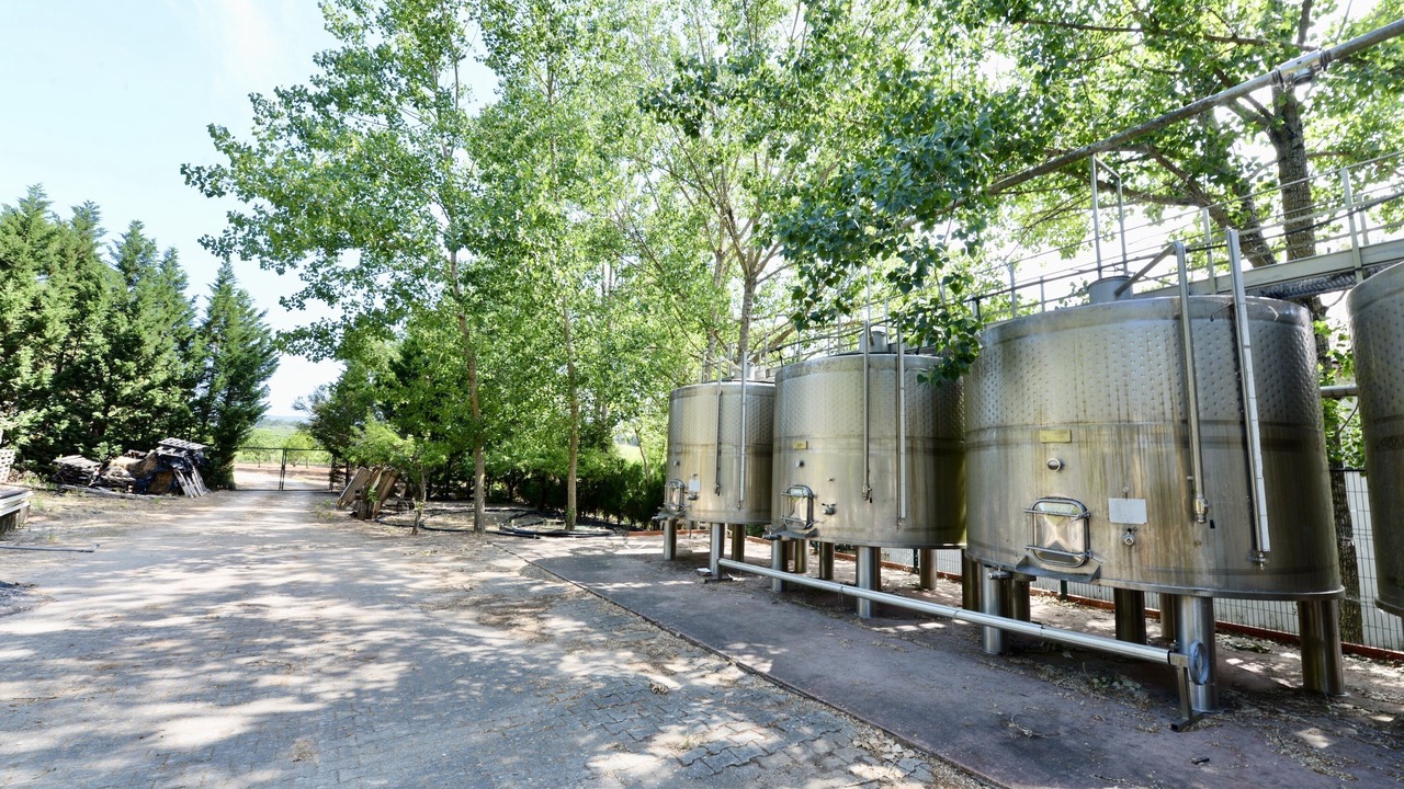 Photo of Outdoor in Carvalhal Benfeito