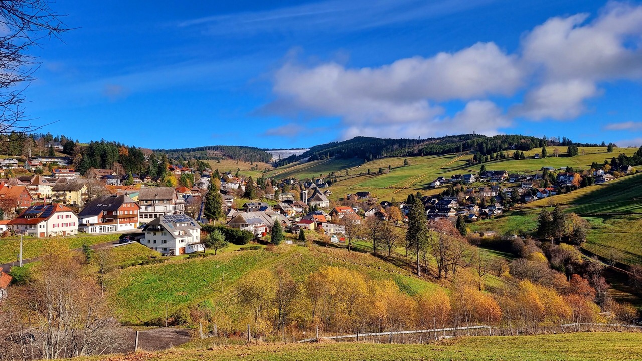 Photo of Others in Todtnauberg