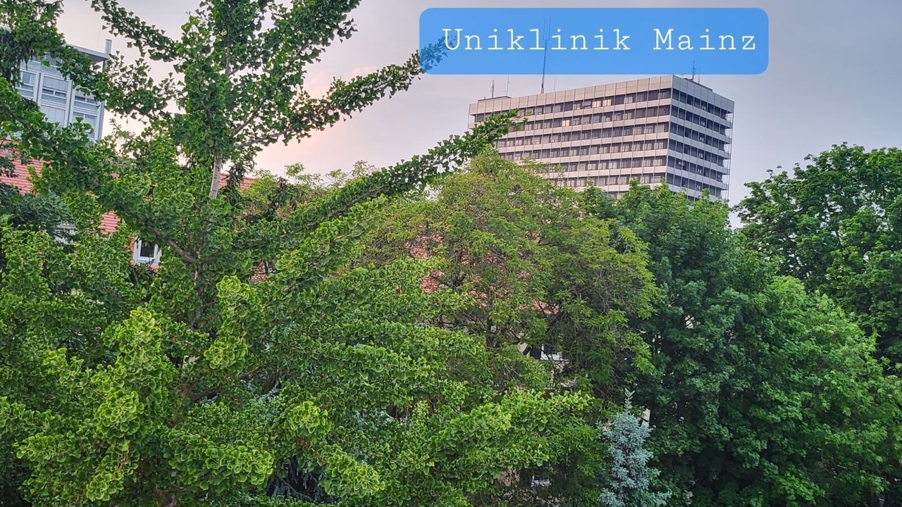 Photo of Outdoor in Oberstadt