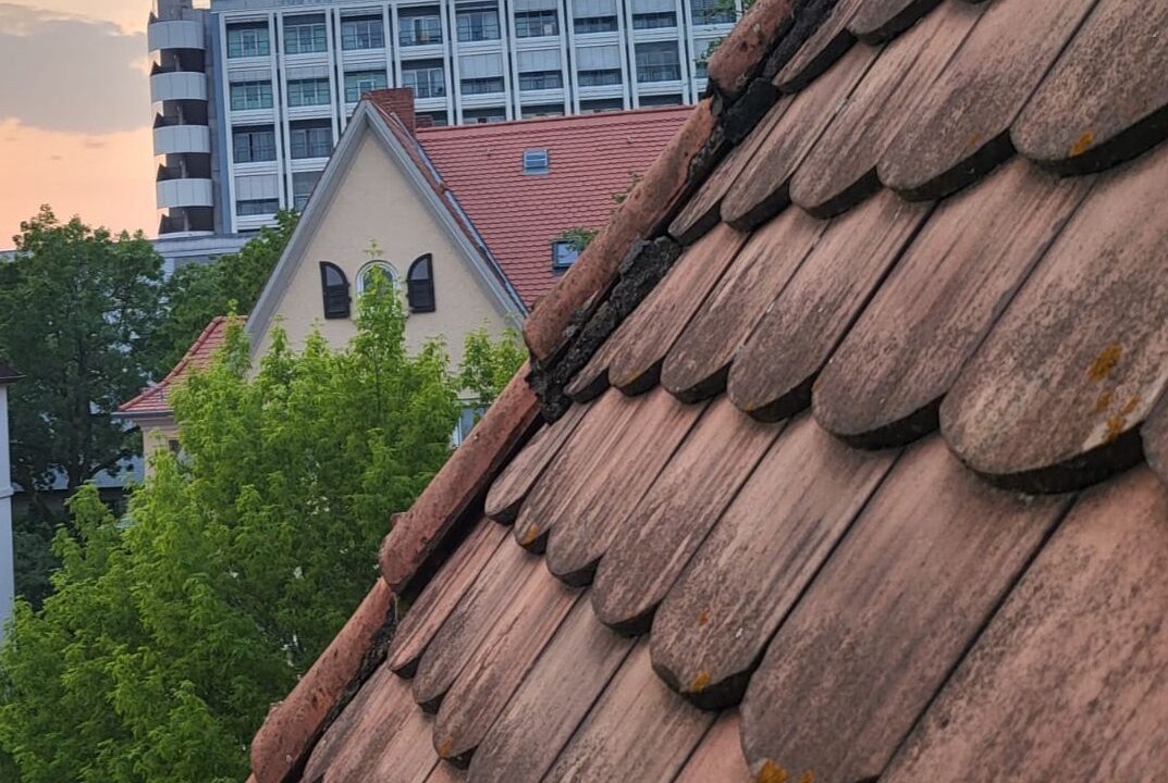 Photo of Others in Oberstadt