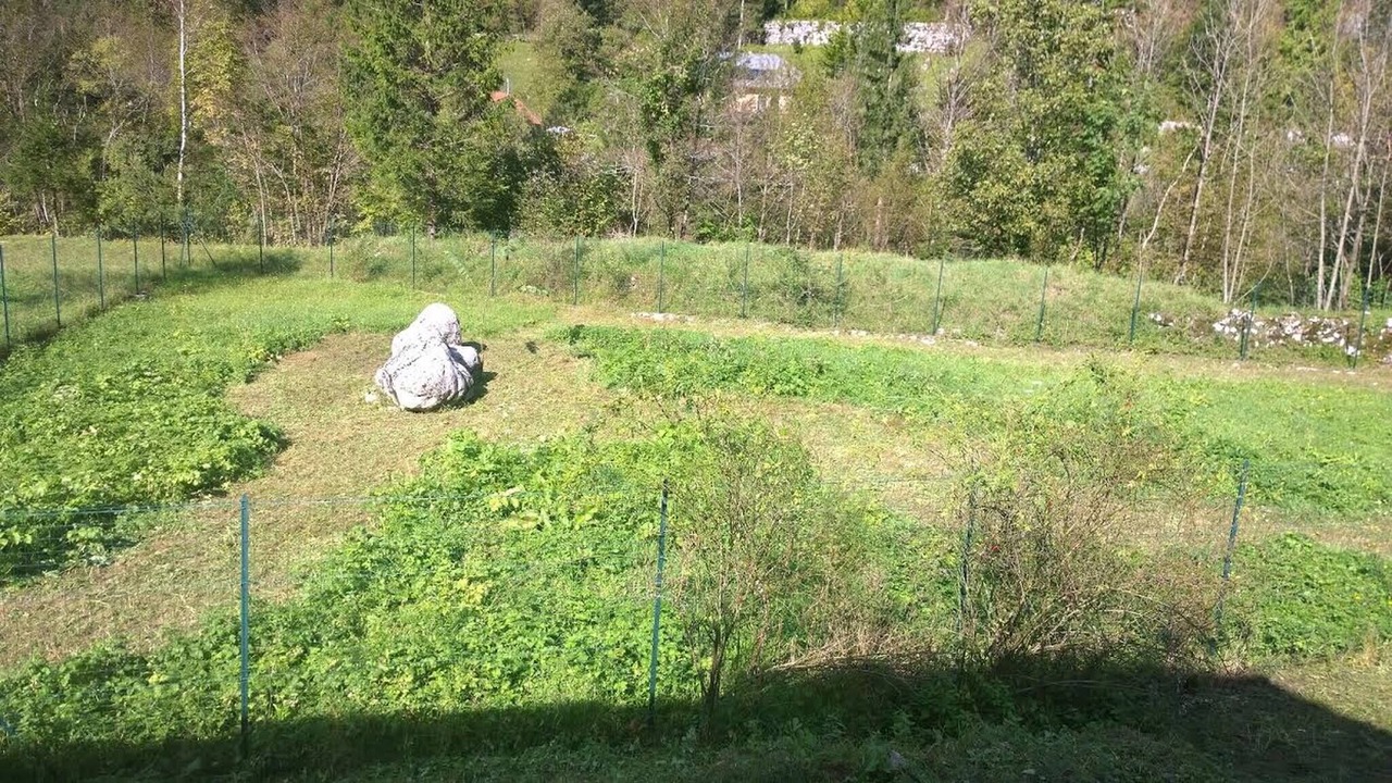 Photo of Outdoor in Soca