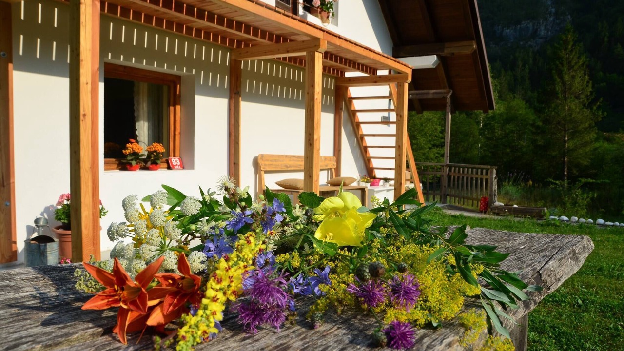 Photo of Outdoor in Soca